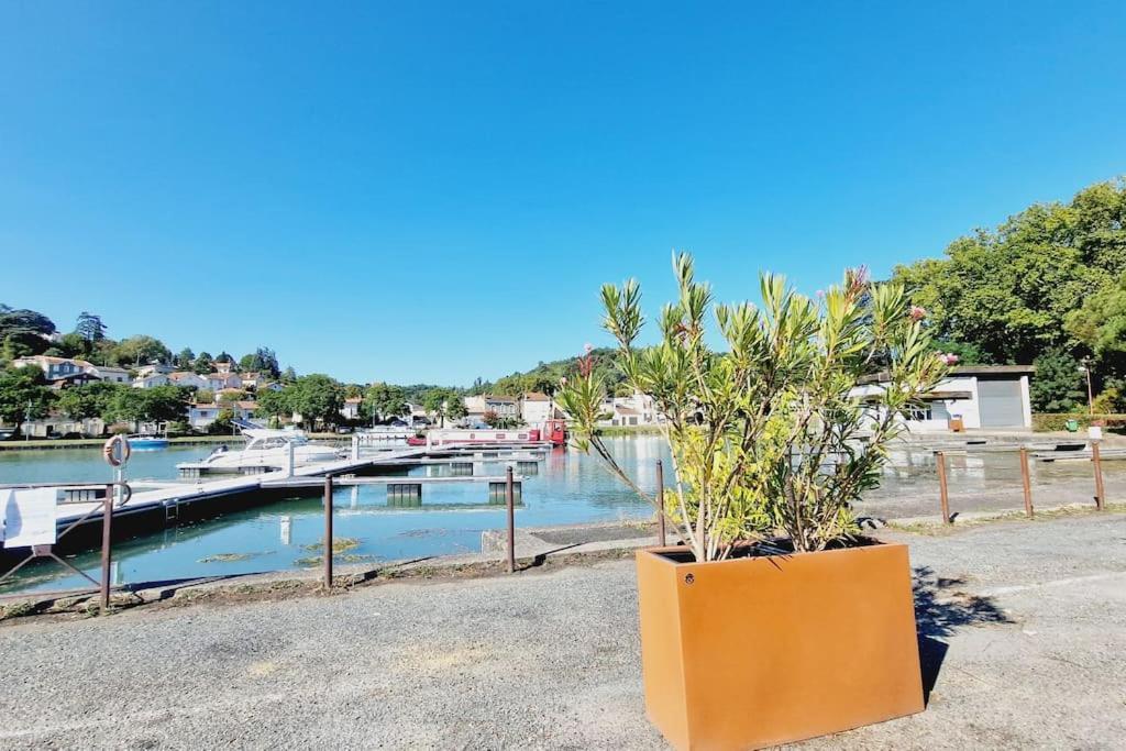 Maison, 4 A 6 Pers, Clim, Parking Prive, 2 Chambres Agen Exterior foto